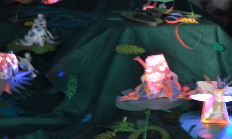 あかりの日-光のジャングル-LED発光