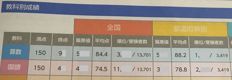 年6月 全国統一小学生テスト 2年生 本番と結果 ひかりん プリンセスメーカー